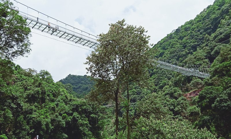 圣元电器挑战高空吊桥